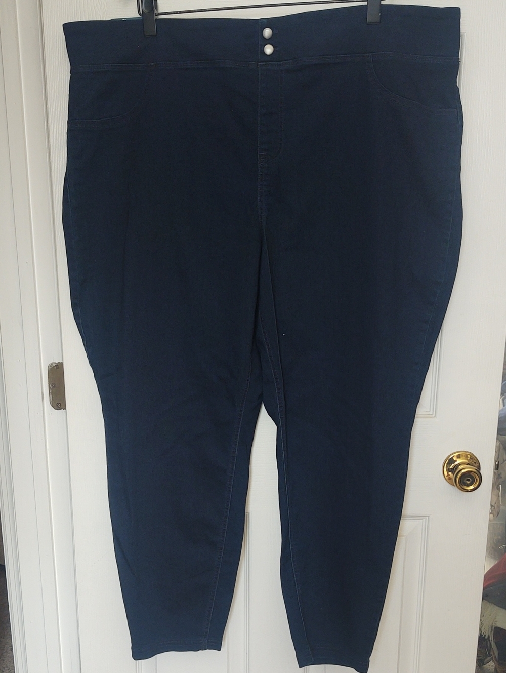 Terra & Sky Dark Blue Skinny Mid-Rise Jeans - Size 3X